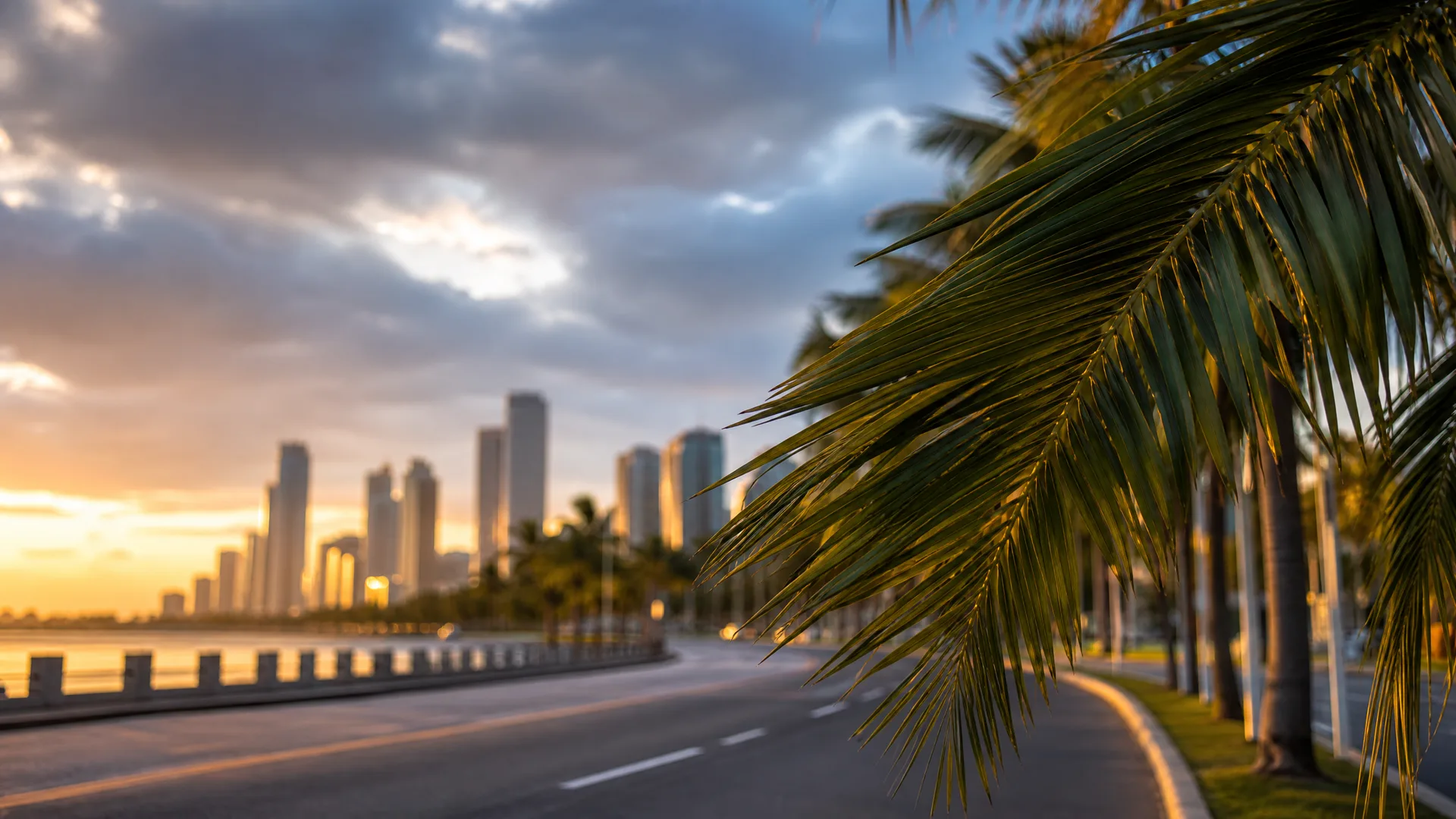 A curving empty coastal road lined with palm trees at sunset, with a distant city skyline of high-rise towers and water visible to the left under cloudy sky.