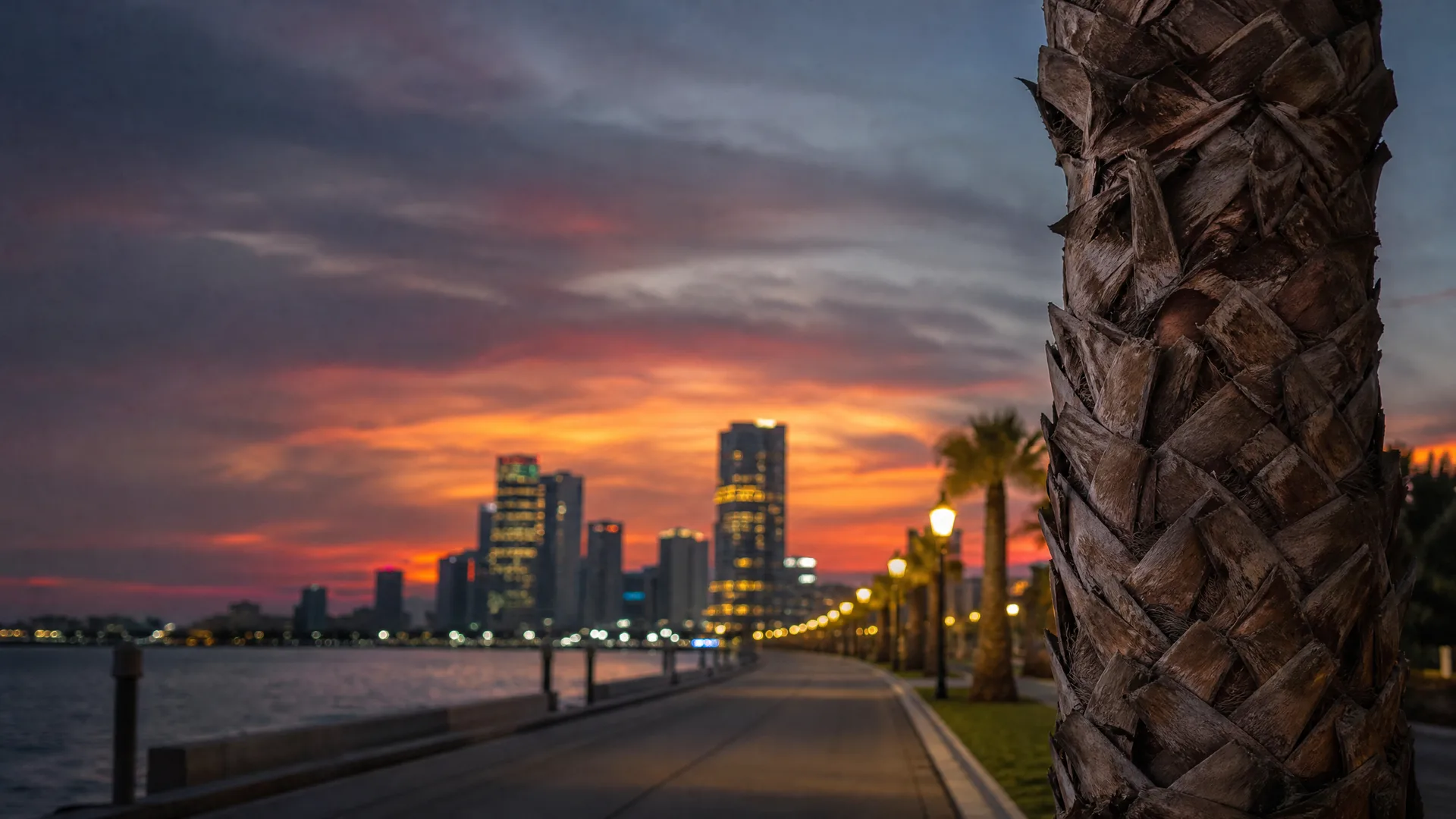A waterfront promenade lined with lit lampposts and palm trees at dusk, with a blurred palm trunk in the right foreground and a city skyline across the water under an orange and purple sky.