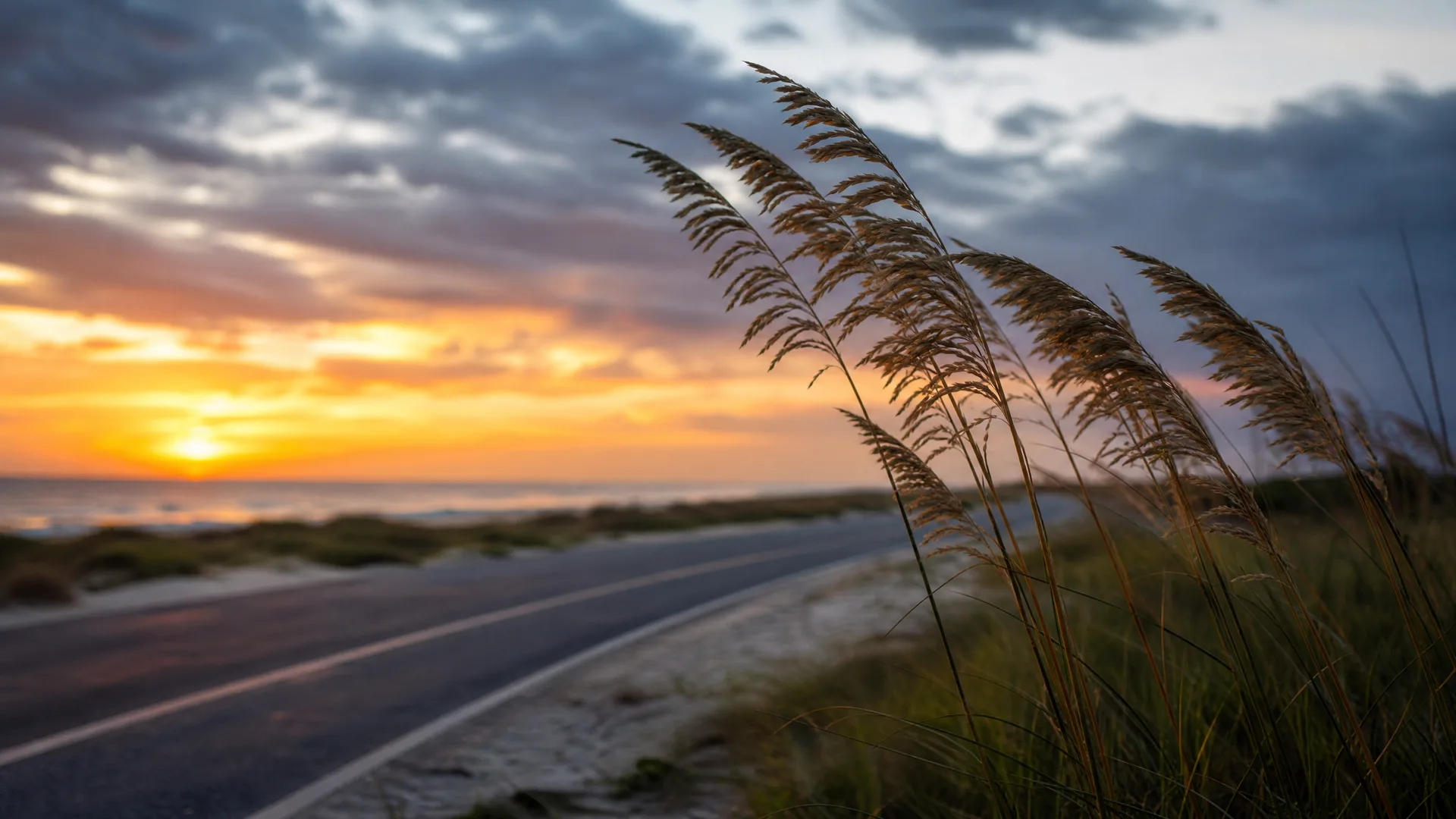 A curving paved road with painted white edge lines runs beside dune grass and seed heads in the foreground, with the sea and a cloudy orange sunset sky behind.